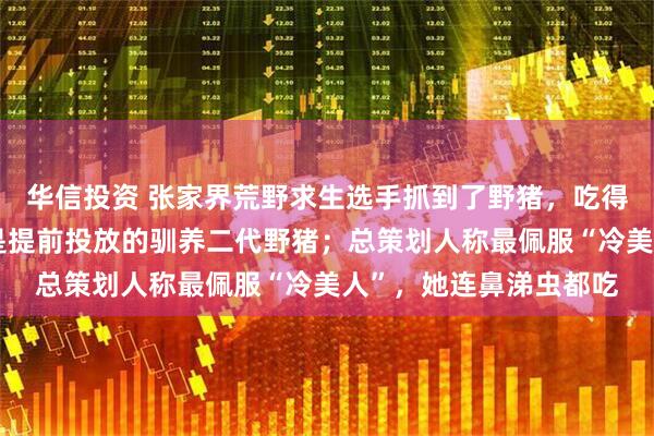 华信投资 张家界荒野求生选手抓到了野猪，吃得满嘴流油，赛事方：是提前投放的驯养二代野猪；总策划人称最佩服“冷美人”，她连鼻涕虫都吃