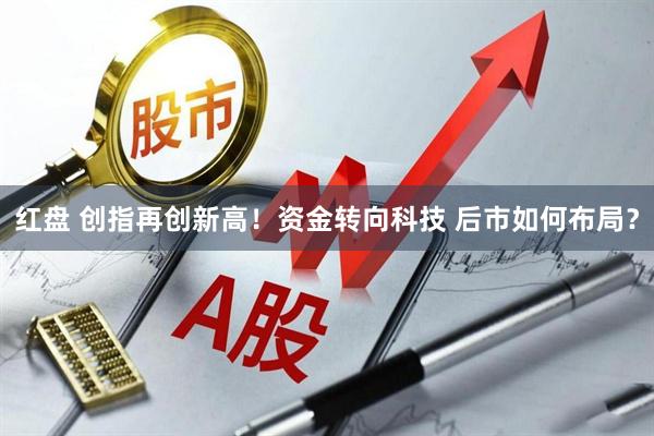 红盘 创指再创新高！资金转向科技 后市如何布局？